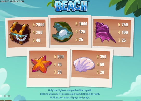 Beach Infographic