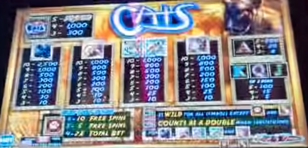 Winner slot casino